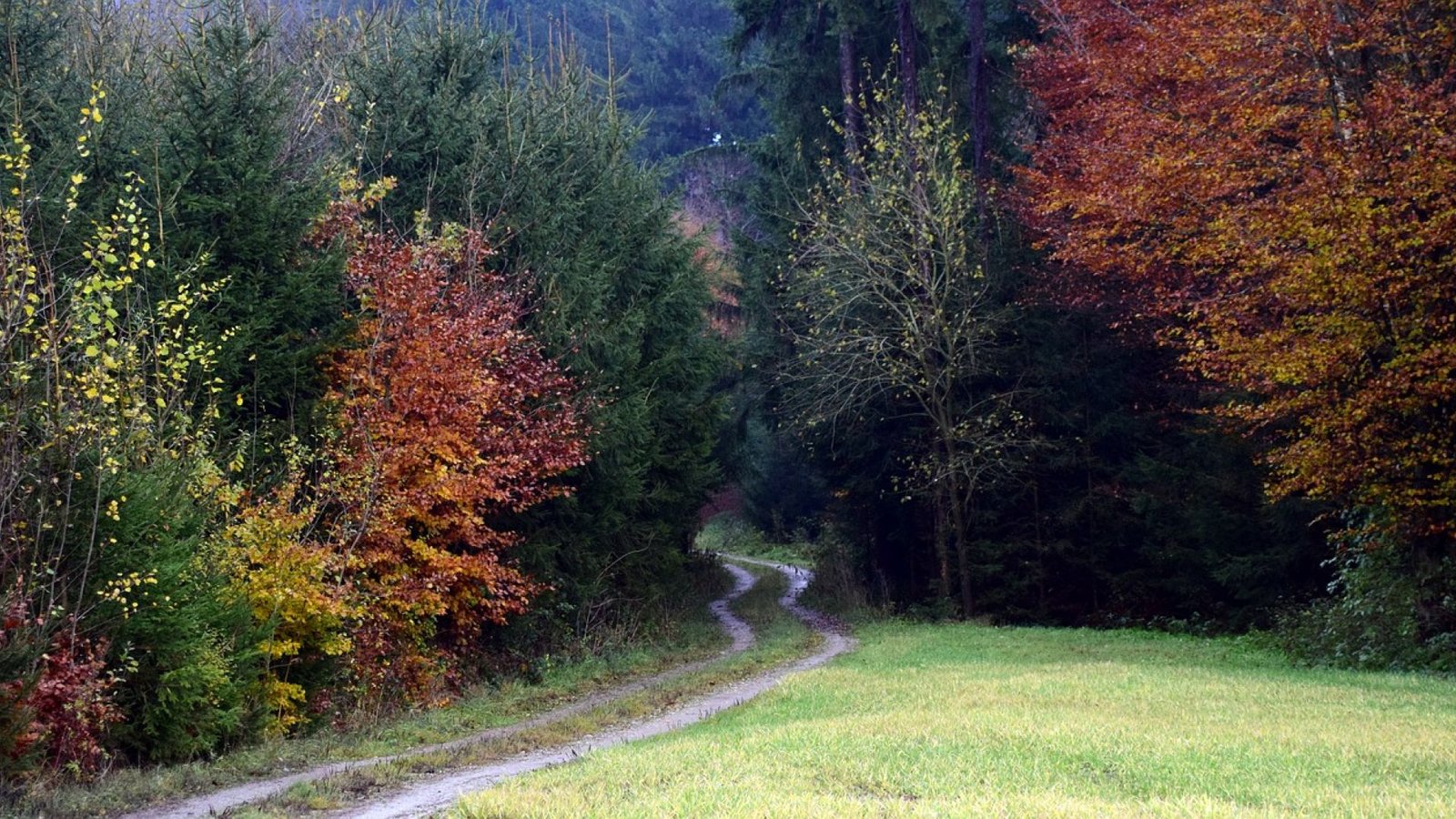 Oración a la sanidad