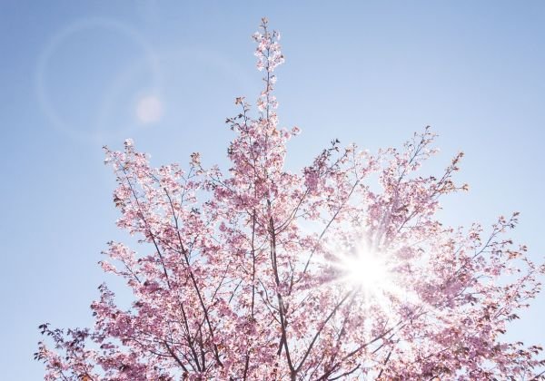 Oración a Don Dinero