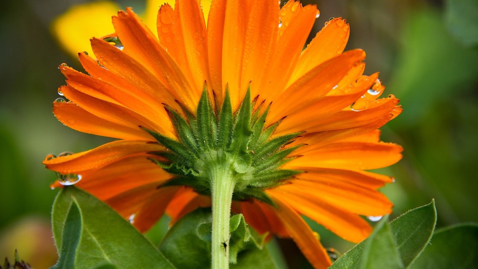 Oración para encontrar trabajo rápido